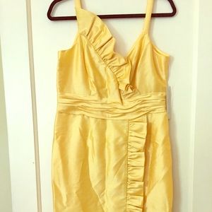 NEW- EVAN PICONE lemon raw silk summer dress